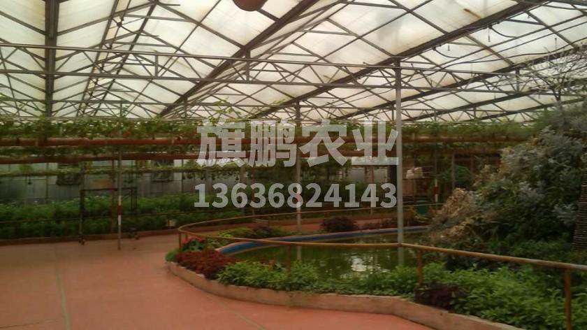 旗鹏农业